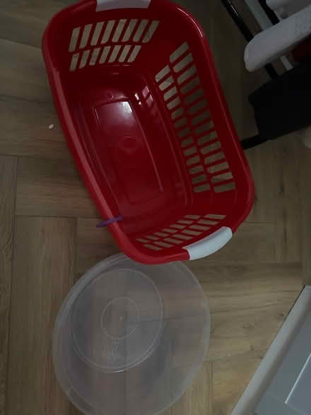 Photo of free Laundry basket and plastic bowl (Pimlico SW1V) #1