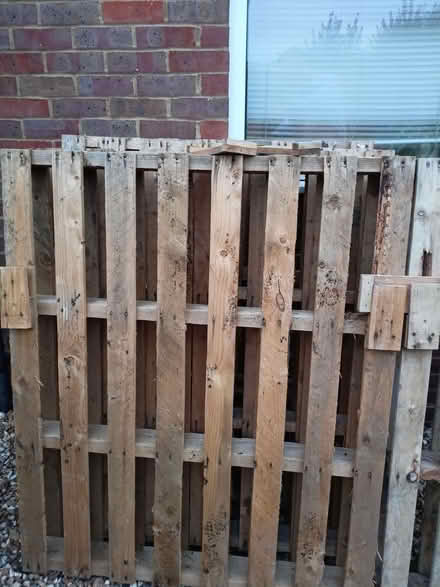 Photo of free 5 sturdy pallets (Chesham HP5) #4