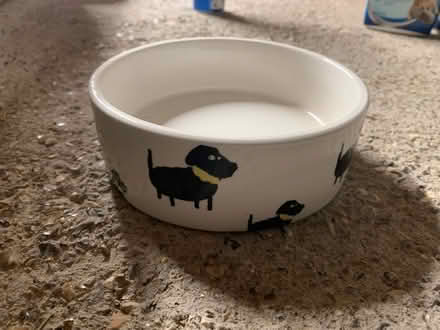Photo of free Dog bowl (Beckenham BR3) #1