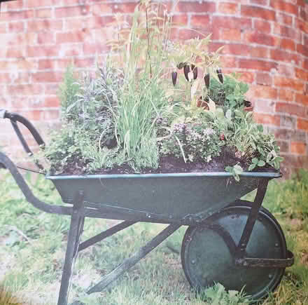 Photo of Holey wheelbarrow (Macclesfield SK11) #1