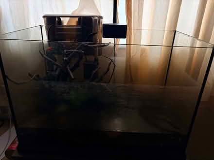 Photo of free Aquarium with 1 Angel Fish (Roath CF24) #1