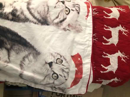 Photo of free Cushion covers (Havant PO9) #1