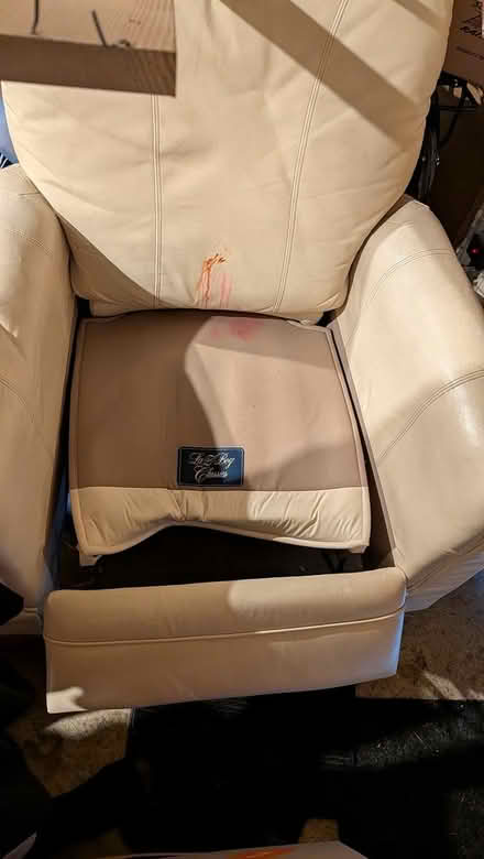 Photo of free Various items (Hall boulevard near Durham) #4