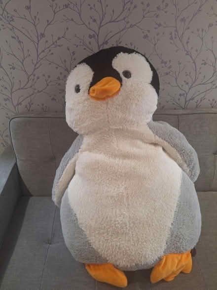 Photo of free Large Fluffy Penguin (Whitehill, GU35 9HA) #1