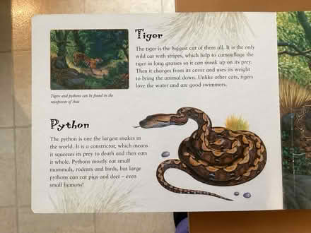 Photo of free Child’s book of jigsaw jungles pictures (Beaconsfield HP9) #3