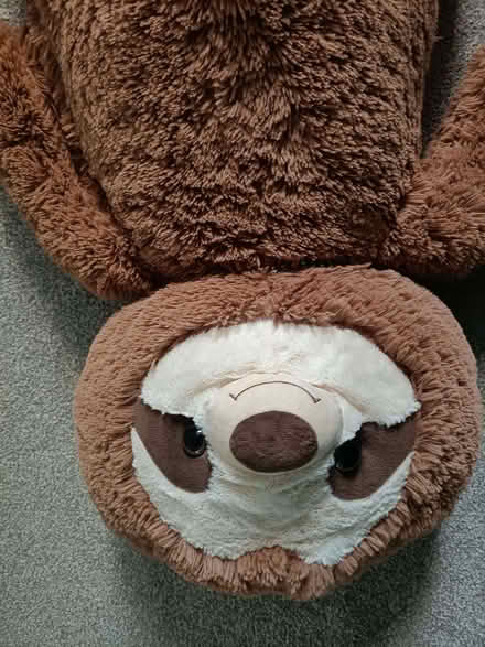 Photo of free Sloth soft toy (Penrith CA11) #2