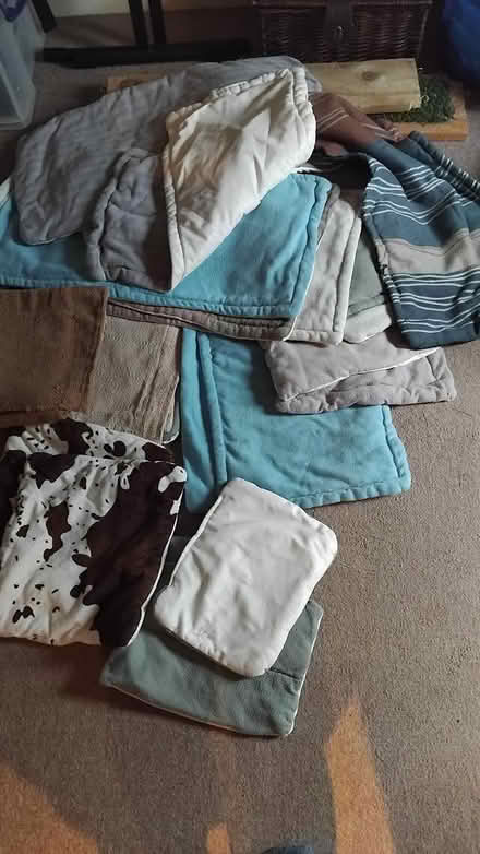 Photo of free G. pig/ rabbit cage fleecy liners (Sheriff Hill Gateshead NE9) #1