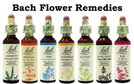 Photo of BACH flower essences/remedies (Kingsmead BA1) #1