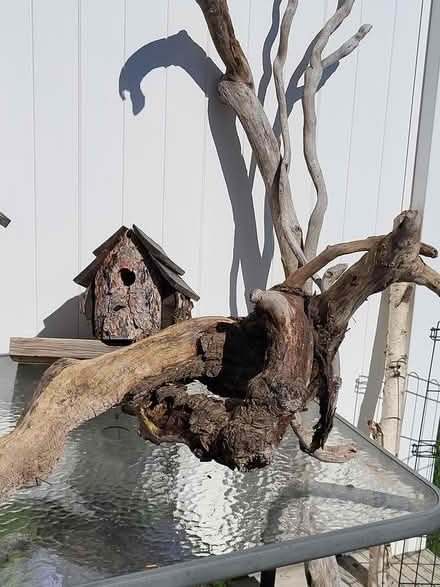 Photo of free Birdhouses and driftwood (Bachelor Heights) #4