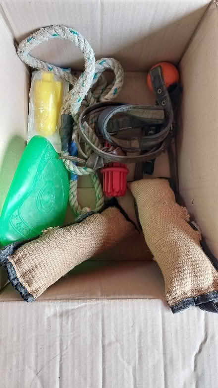 Photo of free Dog toys (Flitton MK45) #1