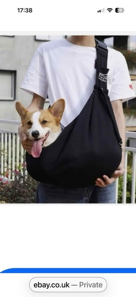 Photo of free Pet sling carrier and grooming glove (Templepatrick BT39) #2