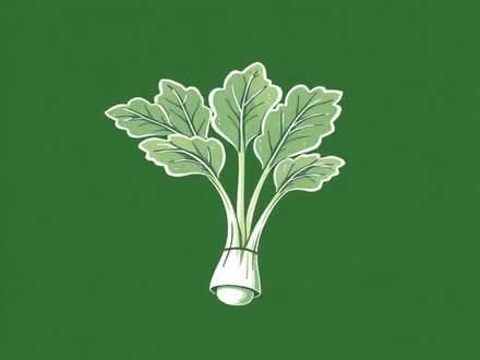 Photo of Rhubarb Plant (Drum Brae EH4) #1