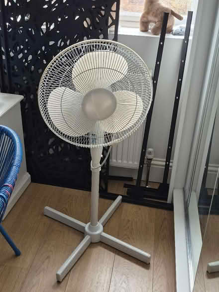 Photo of free Homebase 16" Pedestral Fan (Isleworth TW7) #1
