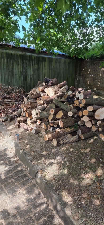 Photo of free Firewood (Cowley OX4) #1