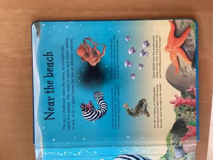 Photo of free Children’s book of sea creatures (Beaconsfield HP9) #2