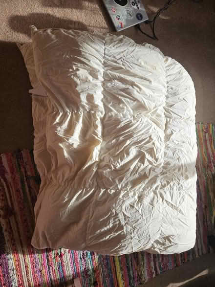 Photo of free Duck feather / down double duvet (Saint Thomas Ward EX2) #1