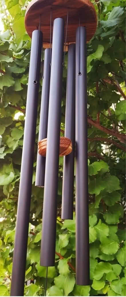 Photo of Pest Deterrents (Redwood City) #1