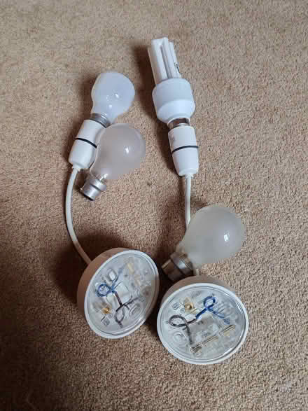 Photo of free Pendants and old light bulbs (Abingdon) #1