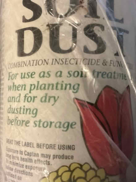 Photo of free Flower Bulbs (Central Mississauga) #3