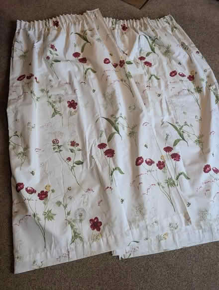 Photo of free Pair of pencil pleat curtains (Ninfield TN33) #3