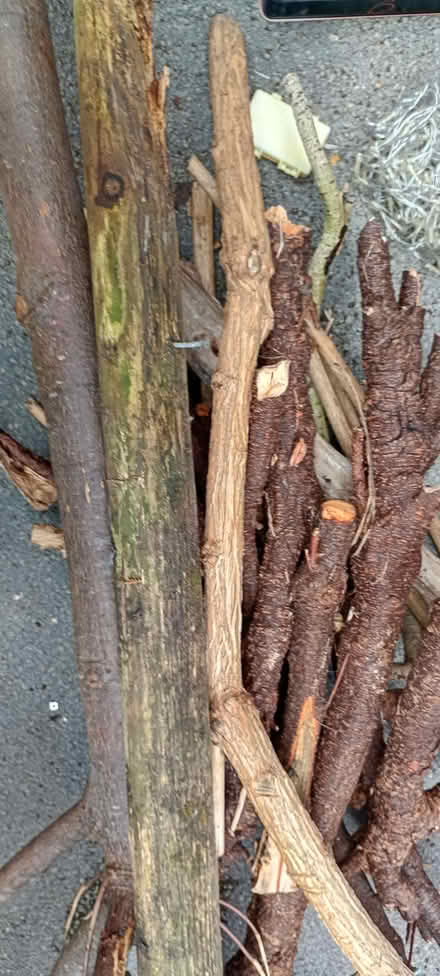 Photo of free Fire, scrap and pallet wood (Prestatyn LL19) #3