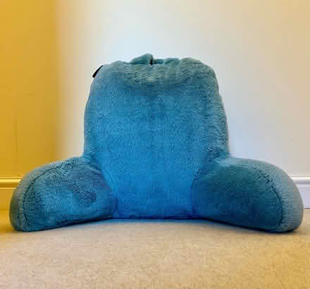 Photo of free Reading Pillow (Tunbridge Wells N. TN4) #1