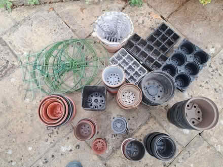 Photo of free Plant pots and supports (Crawley) #2