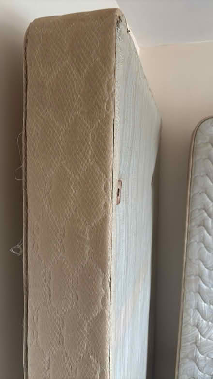 Photo of free Large single bed (Lindfield RH16) #3