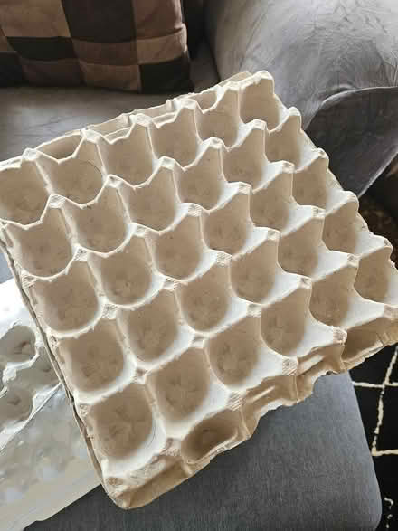 Photo of free Egg cartons (West) #2