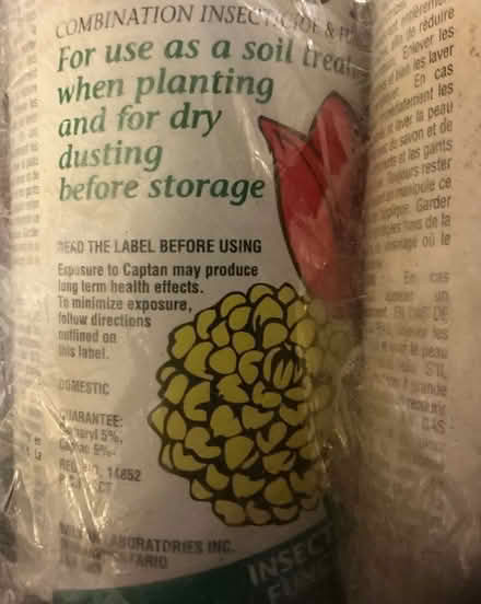 Photo of free Flower Bulbs (Central Mississauga) #2