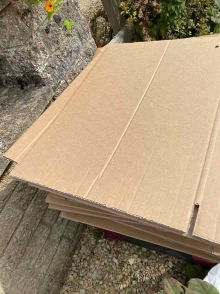 Photo of free 19 medium sized cardboard boxes (Northmoor OX29) #1