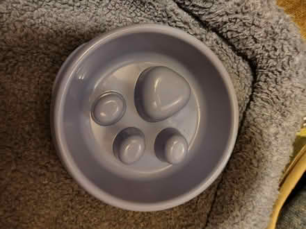 Photo of free Dog bowl unused (Tring HP23) #1