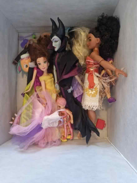 Photo of free Box of dolls and accessories (Meersbrook S8) #1