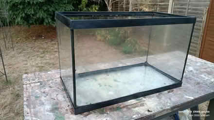 Photo of free Fish Tank (California IP4) #1