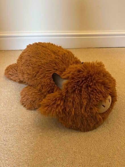 Photo of free Weighted highland cow (Tunbridge Wells N. TN4) #1