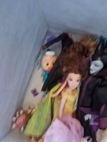 Photo of free Box of dolls and accessories (Meersbrook S8) #2