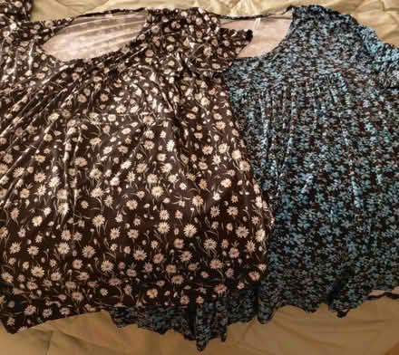 Photo of free Women's size 3X tops (Hollymead) #1