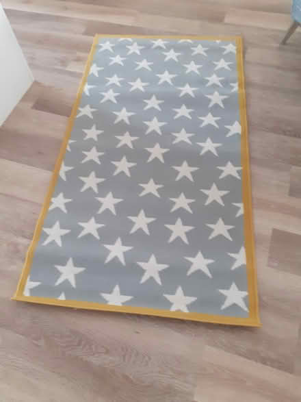 Photo of free Rug (Winterbourne bristol) #1