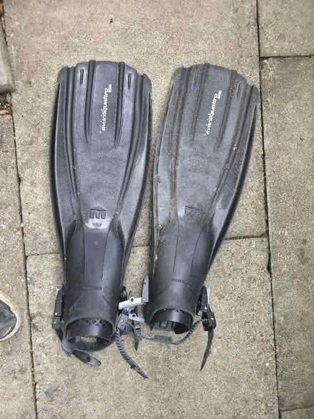 Photo of free Flippers (Godmanchester PE29) #1