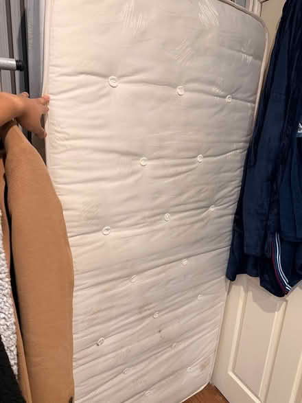 Photo of free Floor lamp and single mattress (MK429) #1