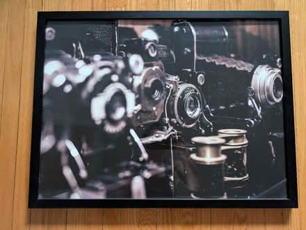 Photo of free Framed photo of old cameras (Bloor St W & South Kingsway) #1