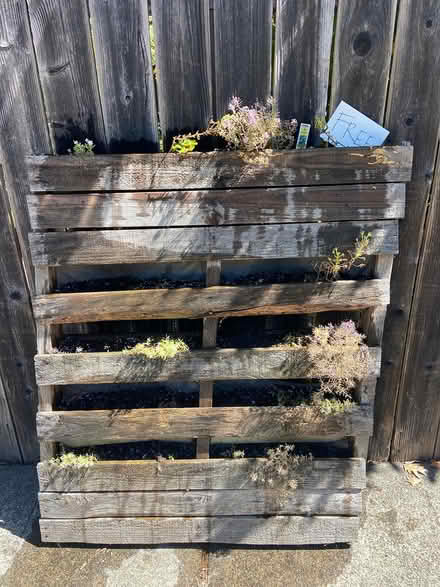 Photo of free Pallet Planter (Old Town Sebastopol) #1