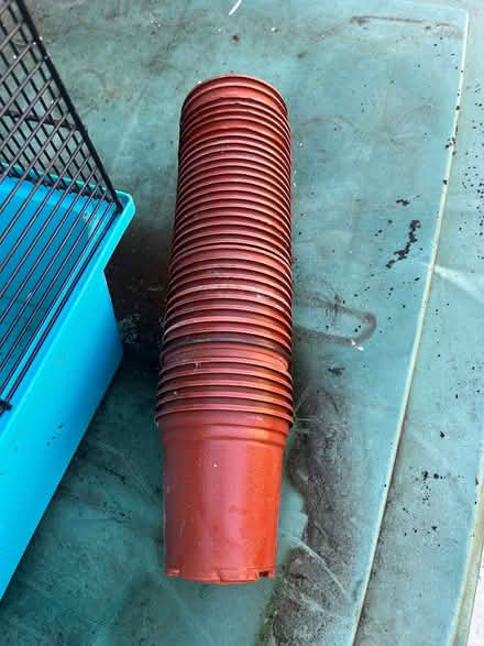 Photo of free Pots (Ipswich IP2) #1