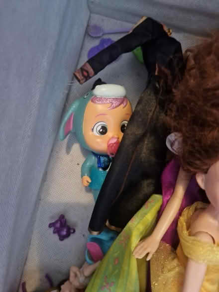 Photo of free Box of dolls and accessories (Meersbrook S8) #3