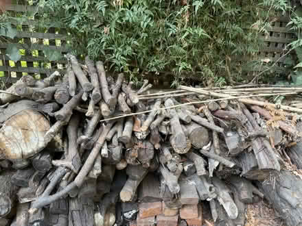Photo of free FreeFirewood- You Haul (Deer Park) #1