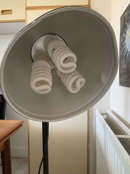 Photo of free 2 x BIP Black studio lights on stands (North Finchley N12) #1