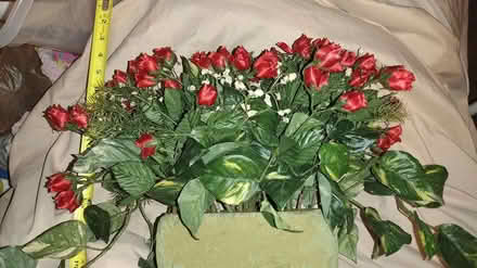 Photo of free Christmas Decorations 16 Flowers (Harlem) #3