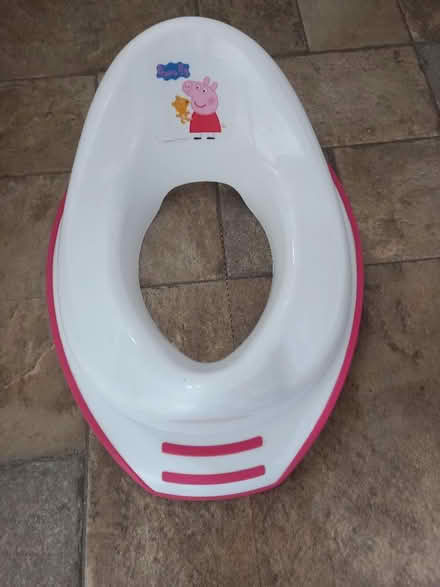 Photo of free Toilet Training Seat (Raymond's Hill EX13) #1