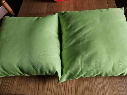 Photo of free 2 lime green outdoor cushions (Cullercoats NE30) #1