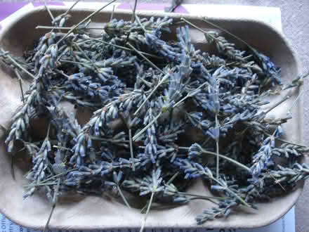 Photo of Lavender (Sidcup DA14) #1